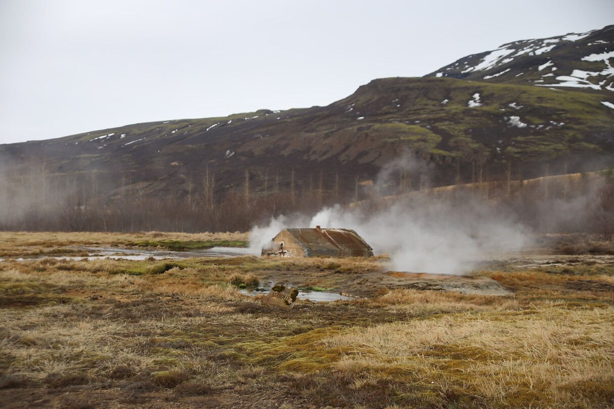 Hier wonend de kabouters doe de Geysir bedienen...