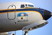 Peanuts