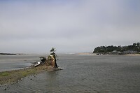 Kust