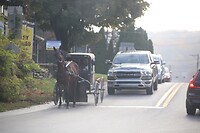 Stoplicht ook voor buggy (ze zwaaiden naar ons)