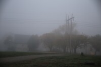 Mist?
