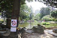 Parkje