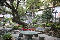Kloostertuin