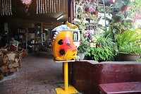 Visvoerautomaat