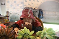 Achter de boerenmarkt stal