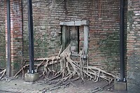 Boomhuis (overwoekerde opslagplaats)