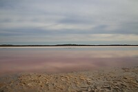 Pink lake (zout)
