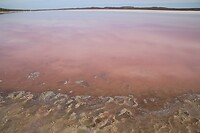 Pink lake close