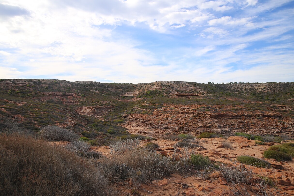 Gorge