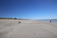 eightmilebeach