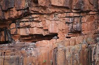 Berg walli