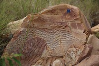 Geologisch bijzonder interessant