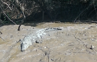 Modder maakt je mooi
