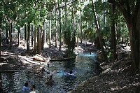 Badje in Mataranka