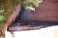 Waterhole