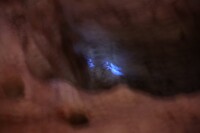 Opal onder blue light