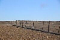 Dog fence tegen de dingo's (red de schapen van SE)