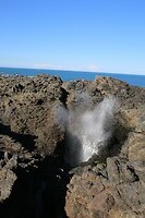 Matig blowhole