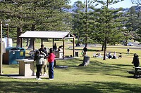 Public BBQ free