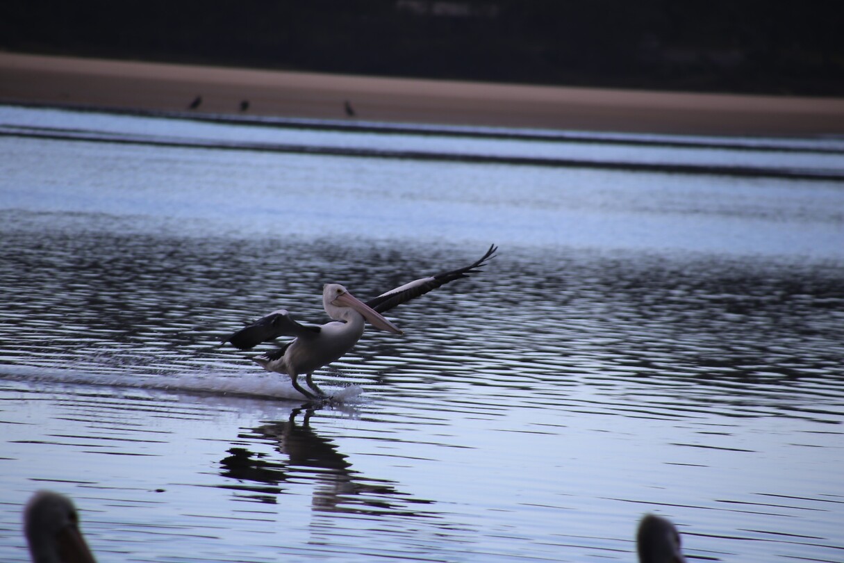 Landing ingezet