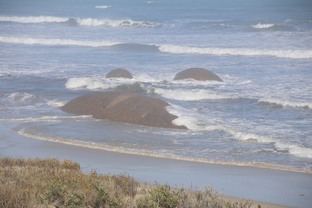 Versteende walvis?