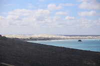 Walviskust