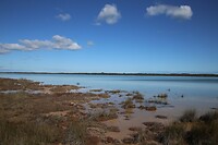 Wetlands