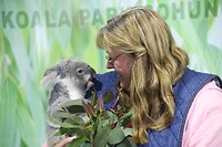 Koala knuffel