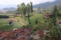 Terrassen
