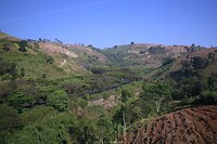 Landschap met terrassen