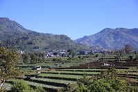 Terrassen