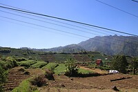 Geploegd