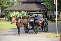 Paard en wagen rondleiding
