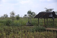 Landschap