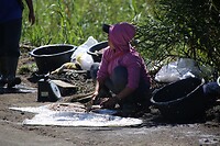 IMG_6041