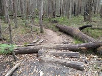 Opstakels mountainbike track