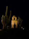 Tussen cactussen