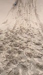 VID-20200128-WA0014