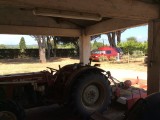Boerencamping