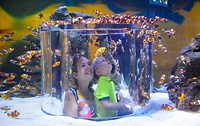 Two oceans aquarium