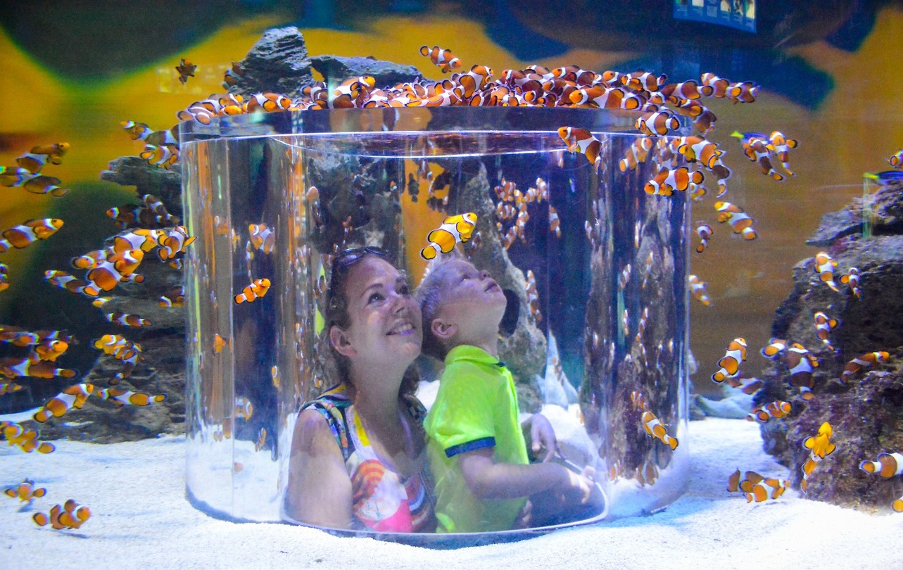 Two oceans aquarium