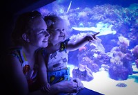 Two oceans aquarium