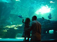 Two oceans aquarium