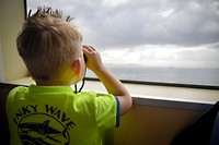 Is Robbeneiland al te zien?