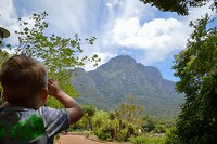 Kirstenbosch