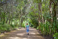 Kirstenbosch