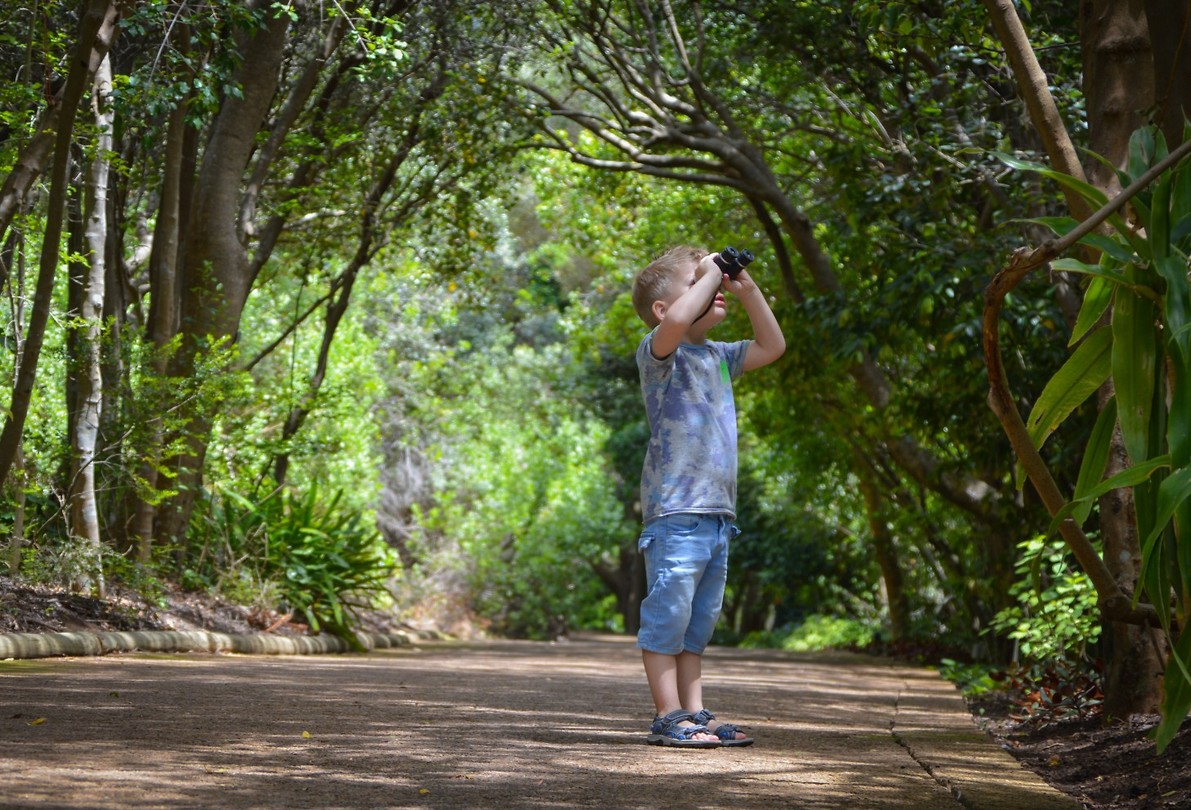 Op zoek naar Bollo in Kirstenbosch