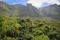 Kirstenbosch