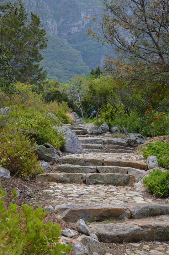 Kirstenbosch