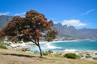 Camps Bay